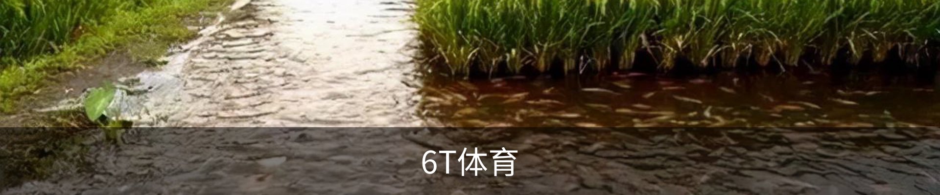 6t体育官方网站 - 6t体育